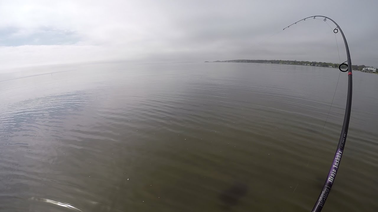 Unexpected Striper! Spring Bay Striper Fishing w/ Swimbaits