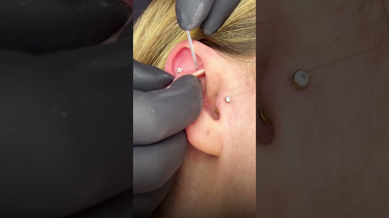 Rook, flat and tragus piercings with gold upgrades ✨