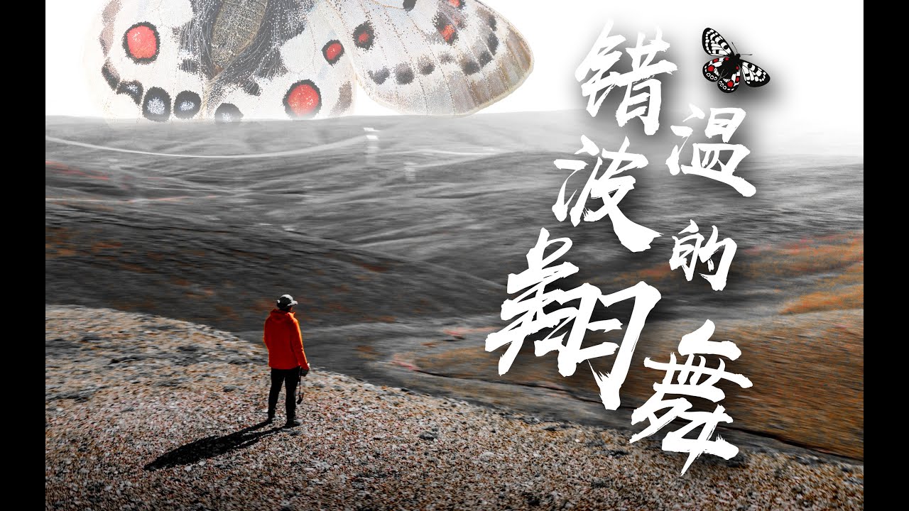【探险纪录片】《错温波的翔舞》——全球第一部青藏高原绢蝶专题探险纪录片，因微小生命而创造的史诗！