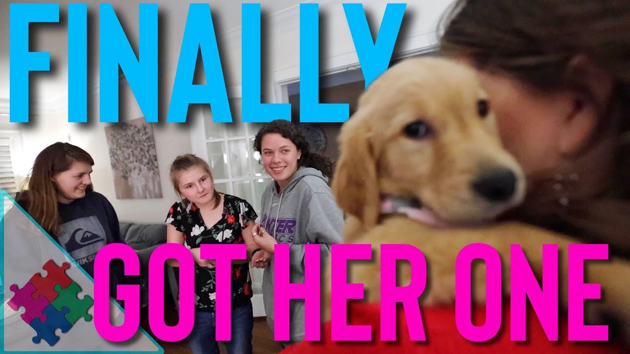 She Finally Got A Puppy
