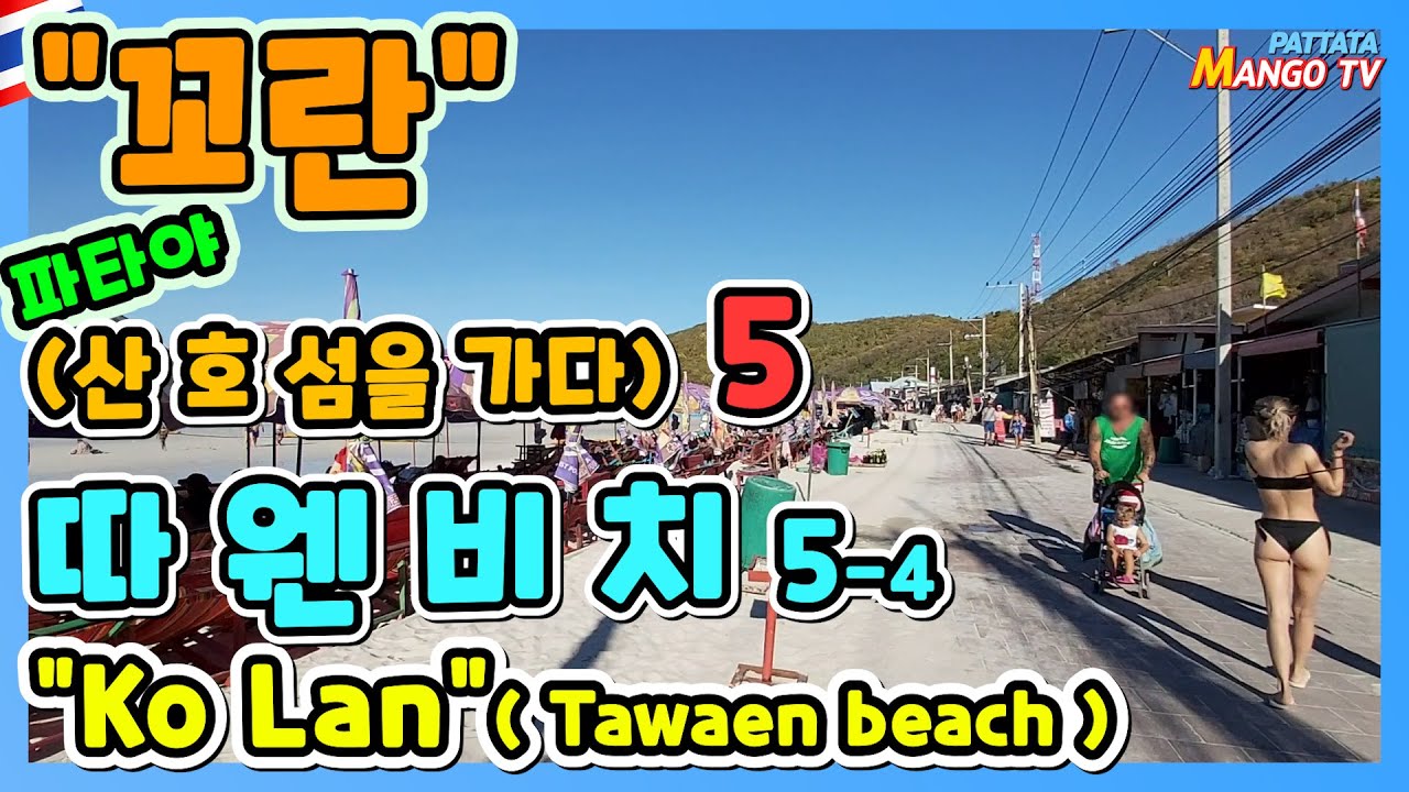 🇹🇭파타야 산호섬5탄 