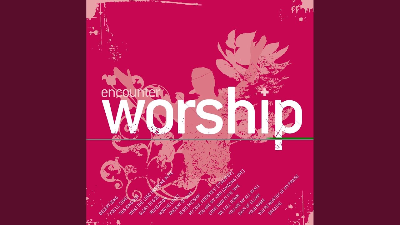 You Are My King (Amazing Love)
