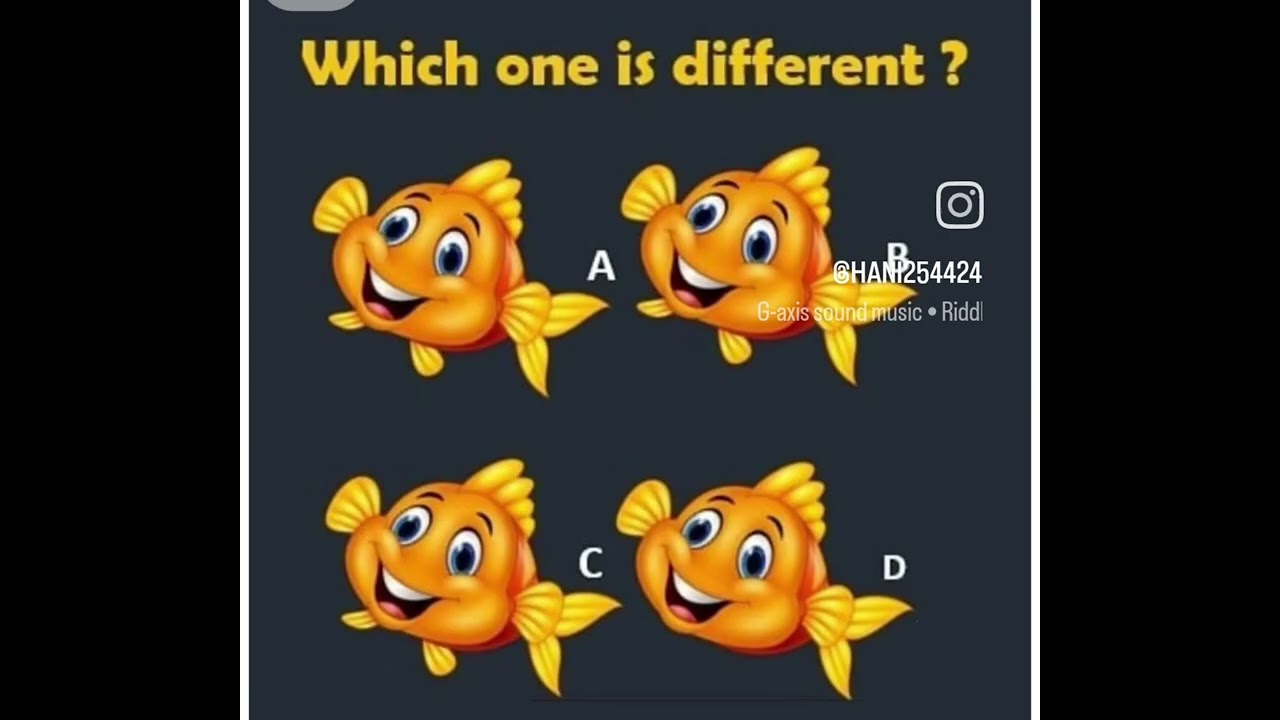Answer answer