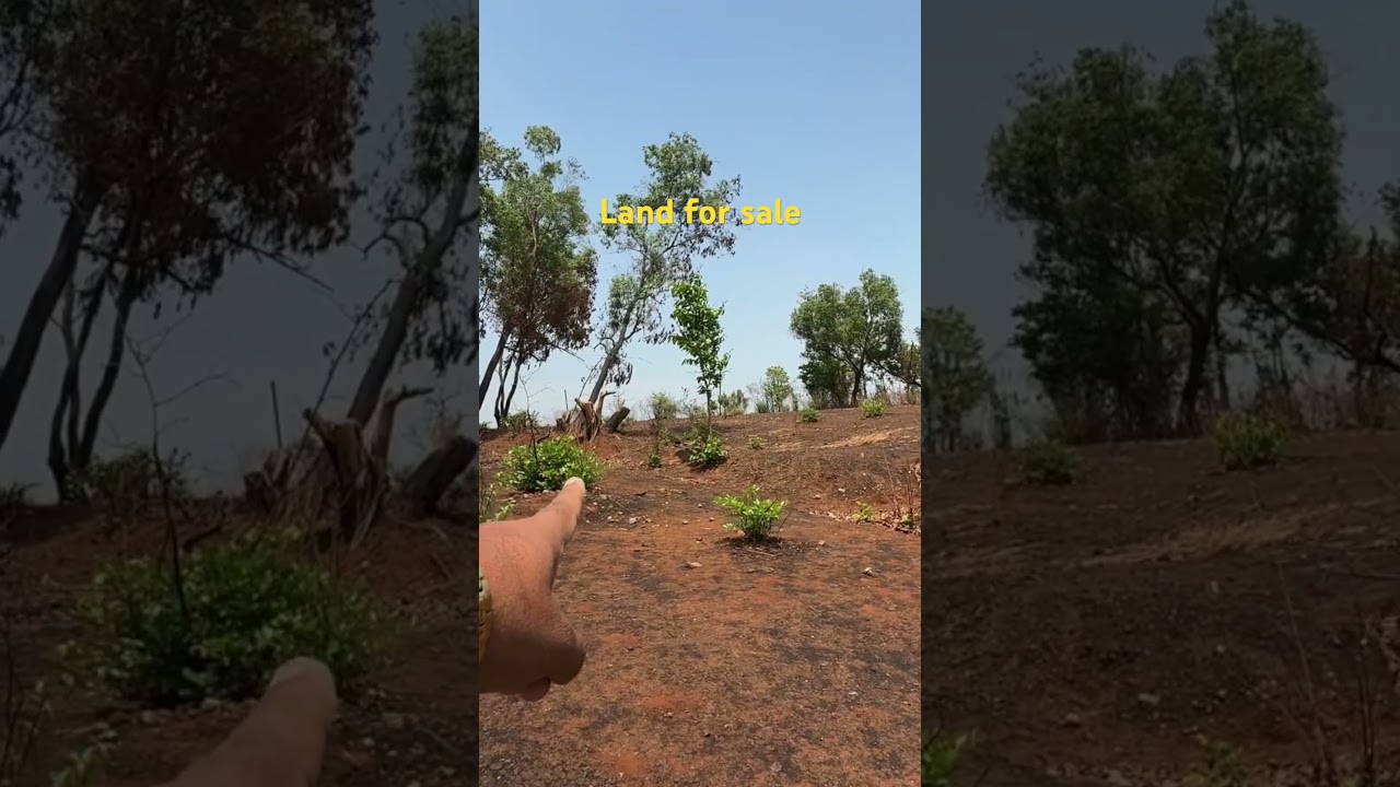 Land for sale in kokan #sunderkokan #kokanproperty #farmland