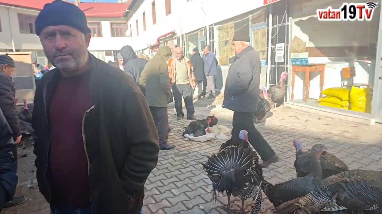 İskilip yoğurt pazarı röportaj canlı