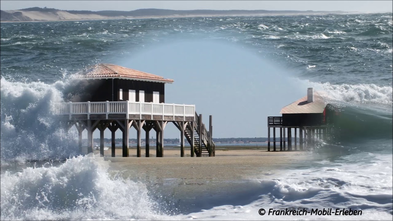 Cap Ferret