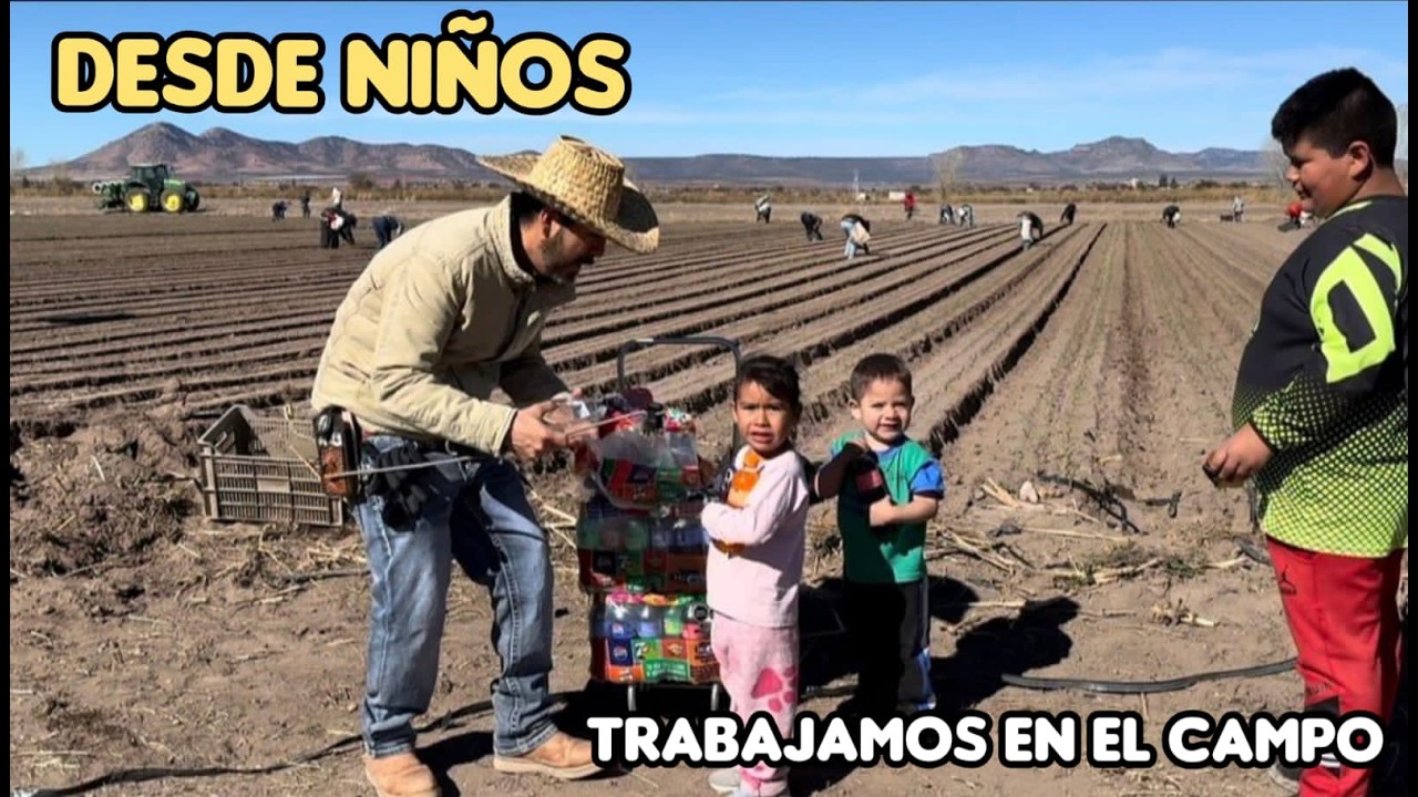 Desde Chiquitos Trabajamos En El Campo, Nuestros Padres No Tienen Con Quien Dejarnos En Casa.👦