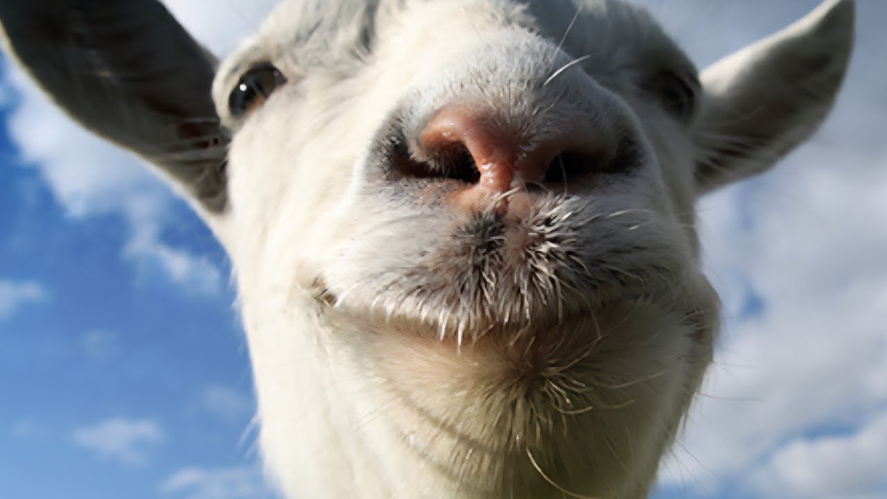 Խաղում ենք Goat Simulator 🐐 