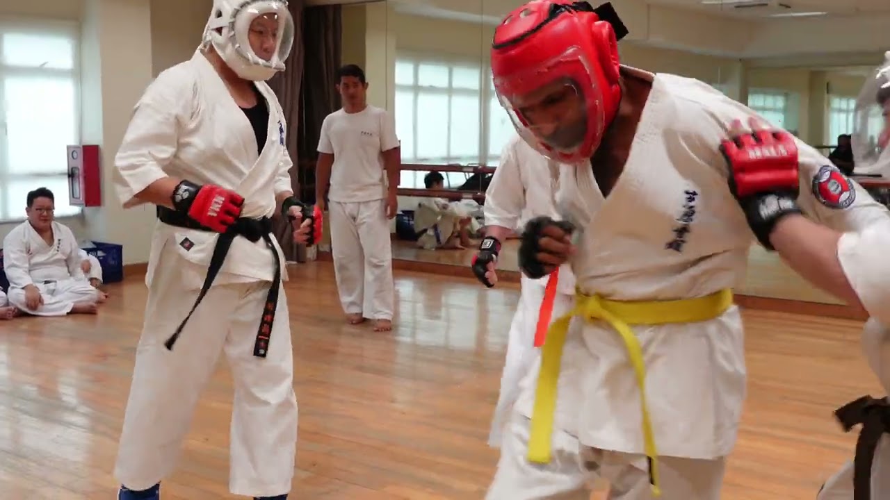Grading 3, 2024 Highlights | Ashihara Karate