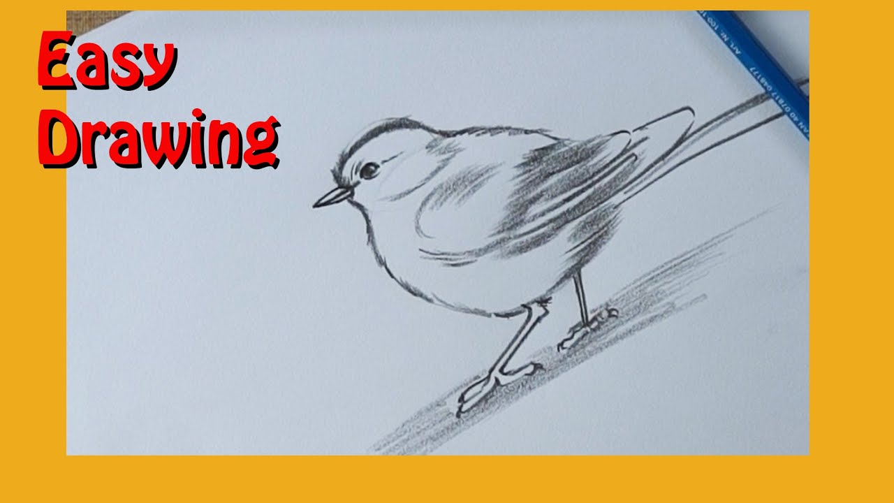 how to draw bird | easy drawing