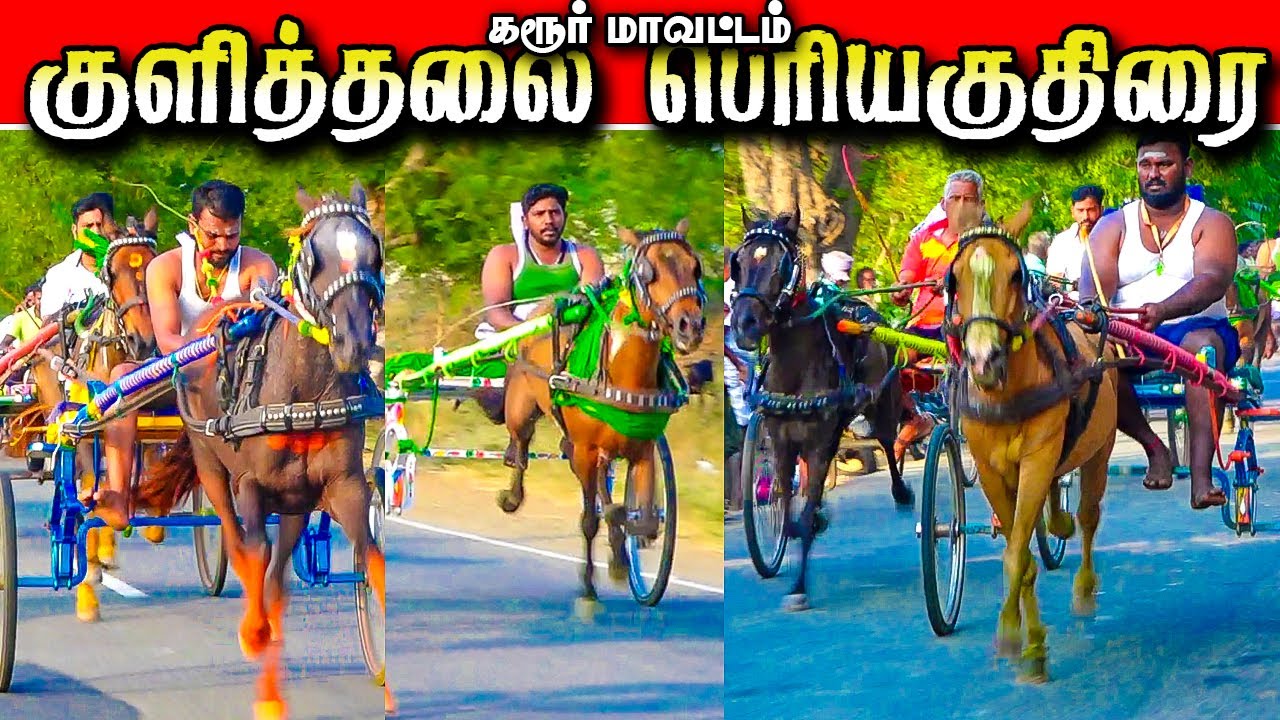 குளித்தலை குட்டப்பட்டி பெரியகுதிரை 08/02/2026#krish_studio_kattumavadi