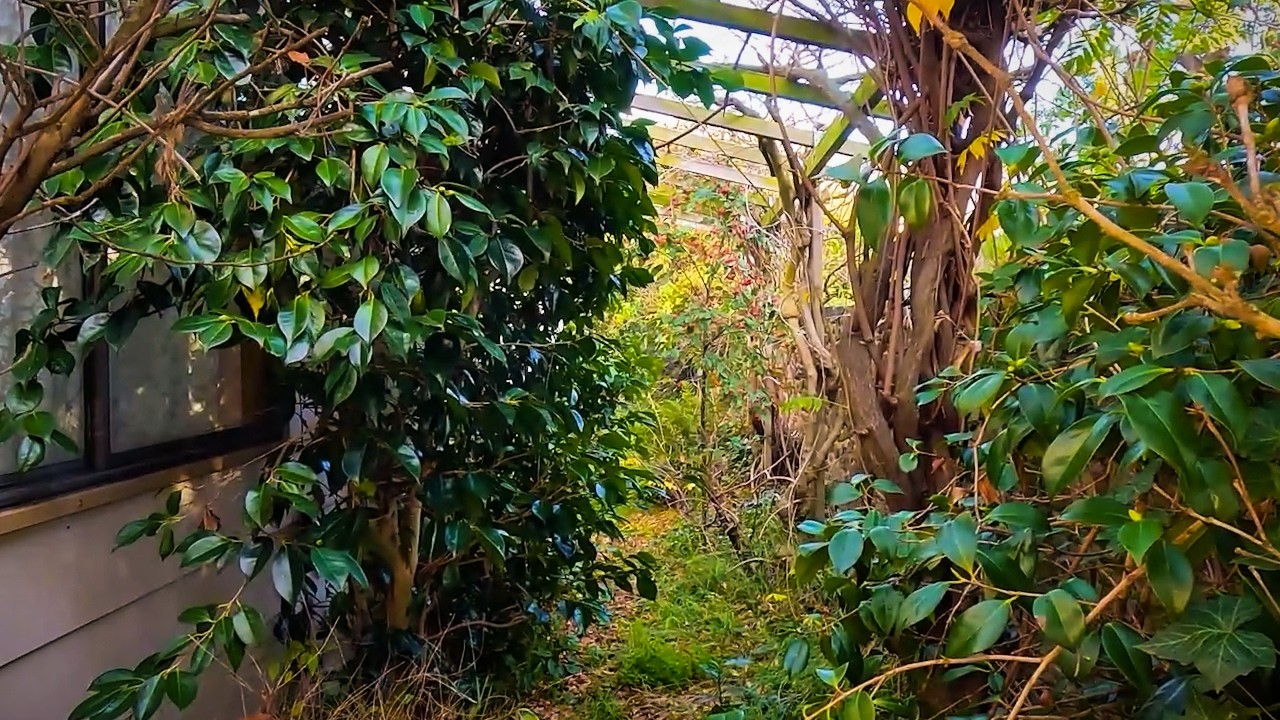 This GARDEN DISASTER was POST APOCALYPTIC