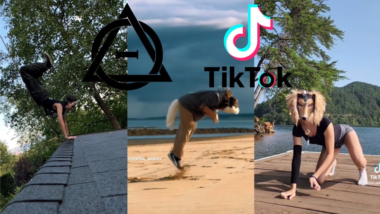 Therian and Quadrobics TikToks || Compilation 🐾🍂 || Alterhumans of TikTok #35