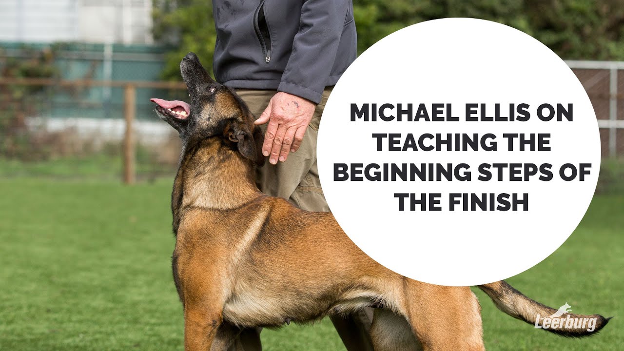 Michael Ellis on Teaching the Beginning Steps of The Finish