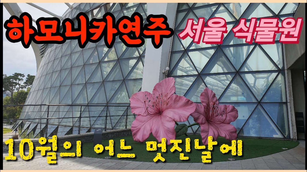 10월의 어느 멋진날에(하모니카연주)남은자장애인자립생활센터야외수업 서울식물원On a wonderful day in October the Seoul Botanical Garden