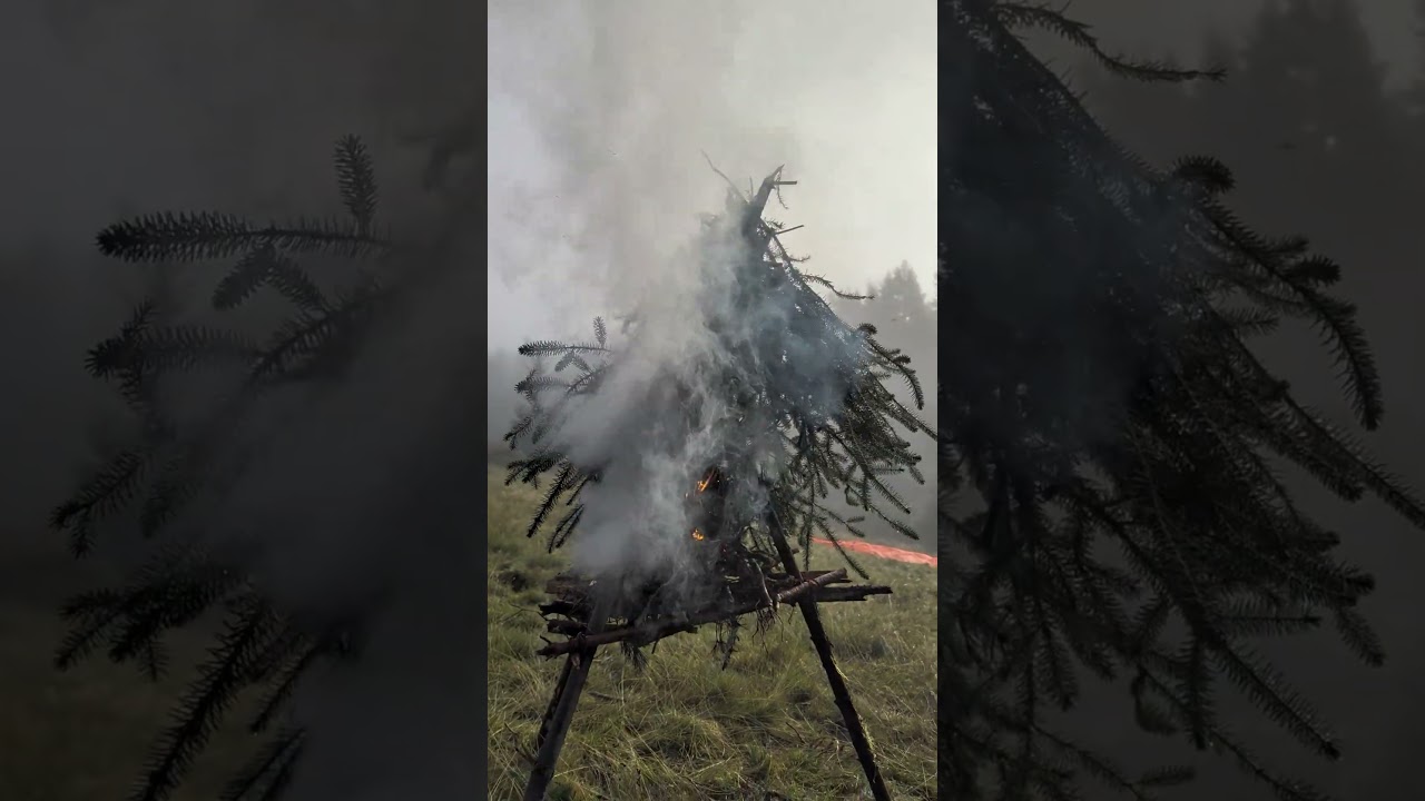 Location Action Plan in progress 🔥🌲 