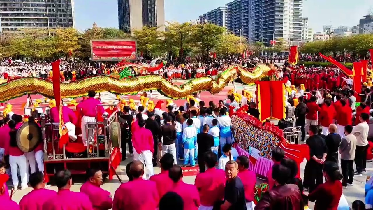 潮汕民俗盛会：舞龙大会・龙凤舞｜Chaoshan Folk Festival: Dragon & Phoenix Dance #trendingvideo #非物质文化遗产 #非遗文化传承 #民族風