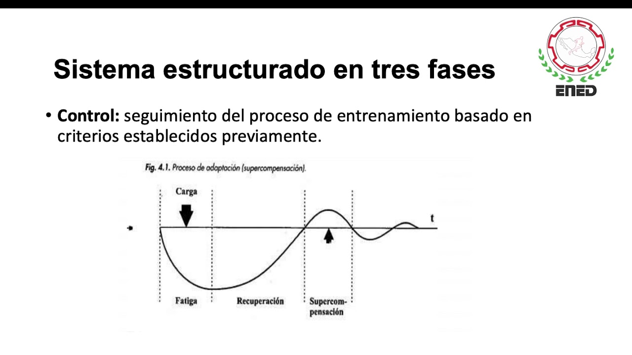 Entrenamiento por bloques de Verkhoshansky JESUS REYES