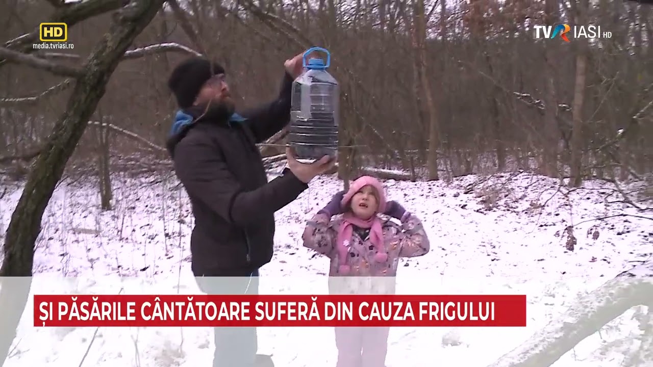 Reportaj TVR Iași despre hrănitorile pentru păsări din Pădurea Ciric