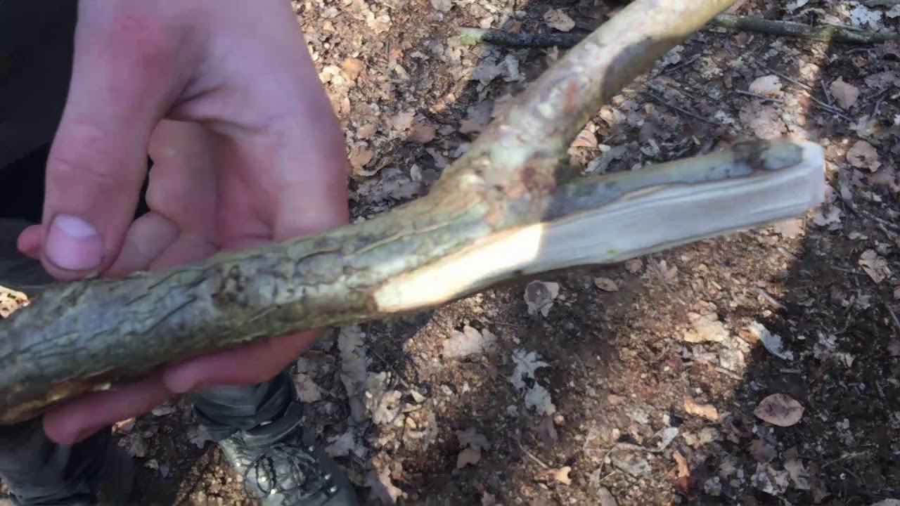 4 bushcraft camp crafts  #bushcraftskills