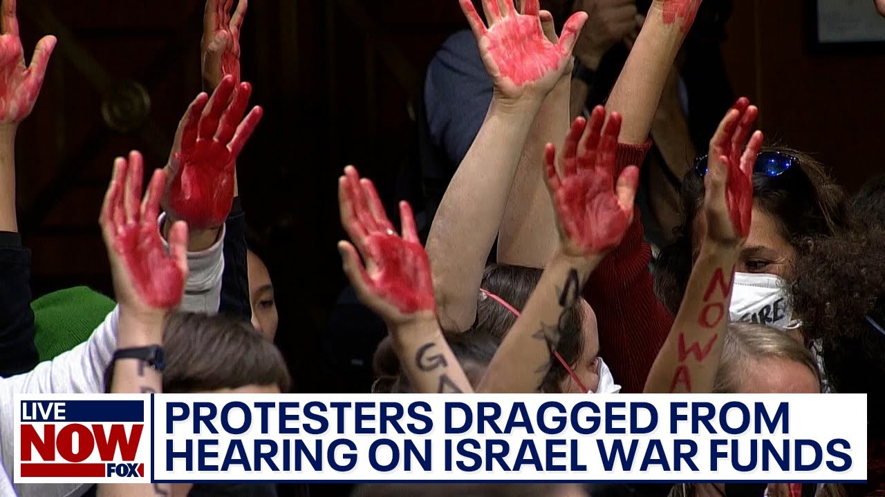 Anti-Israel protesters dragged from Senate hearing on Israel war funding | LiveNOW from FOX