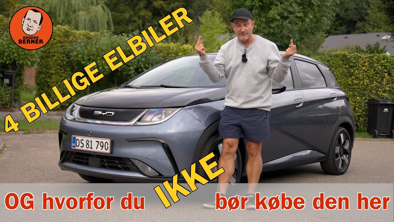 BILLIG BYD Dolphin - Derfor skal du IKKE k&oslash;be endnu!