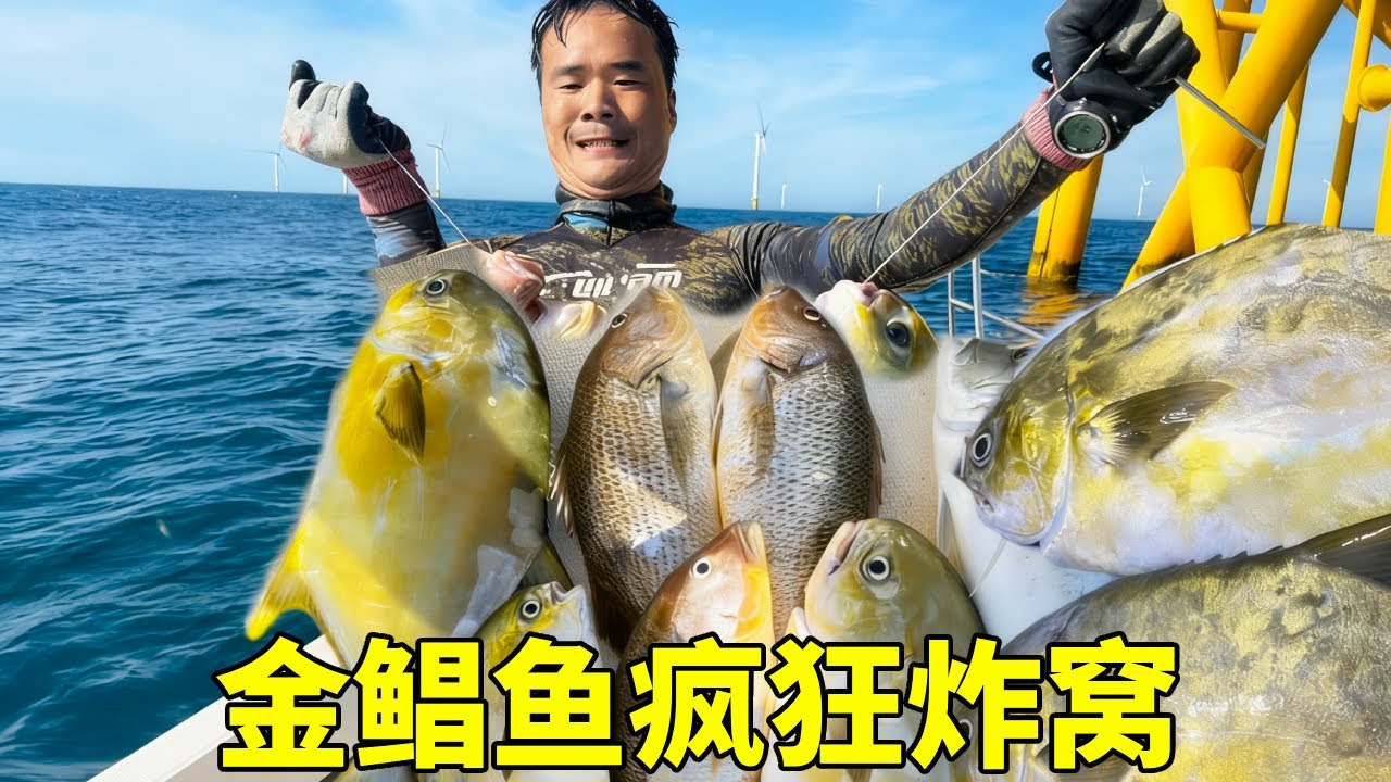 双台风来袭，阿锋逆风出海，金鲳鱼疯狂炸窝，收获直接封神【探海漁人】