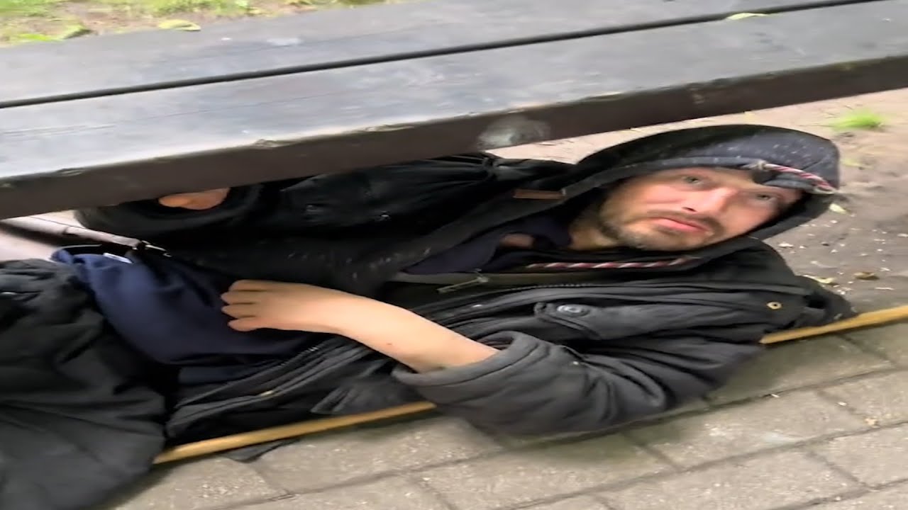 Slav Memes Compilation V39/ Wild memes / Best memes 2025 for you