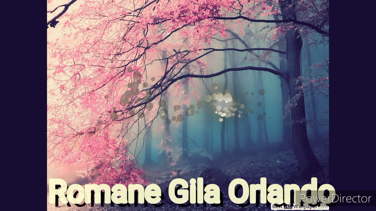 Romane gila orlando 2020