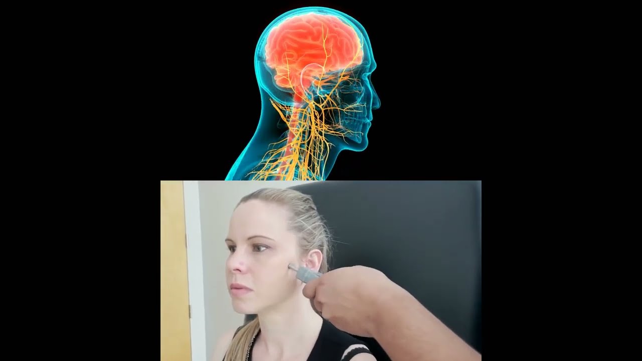 Somatosensory Stimulation: Unlocking the Brain's Power to Heal Through Neuroplasticity