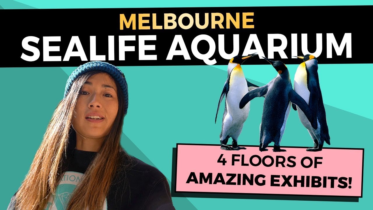 MELBOURNE GUIDE: Sealife Aquarium (Quick Tour Inside)