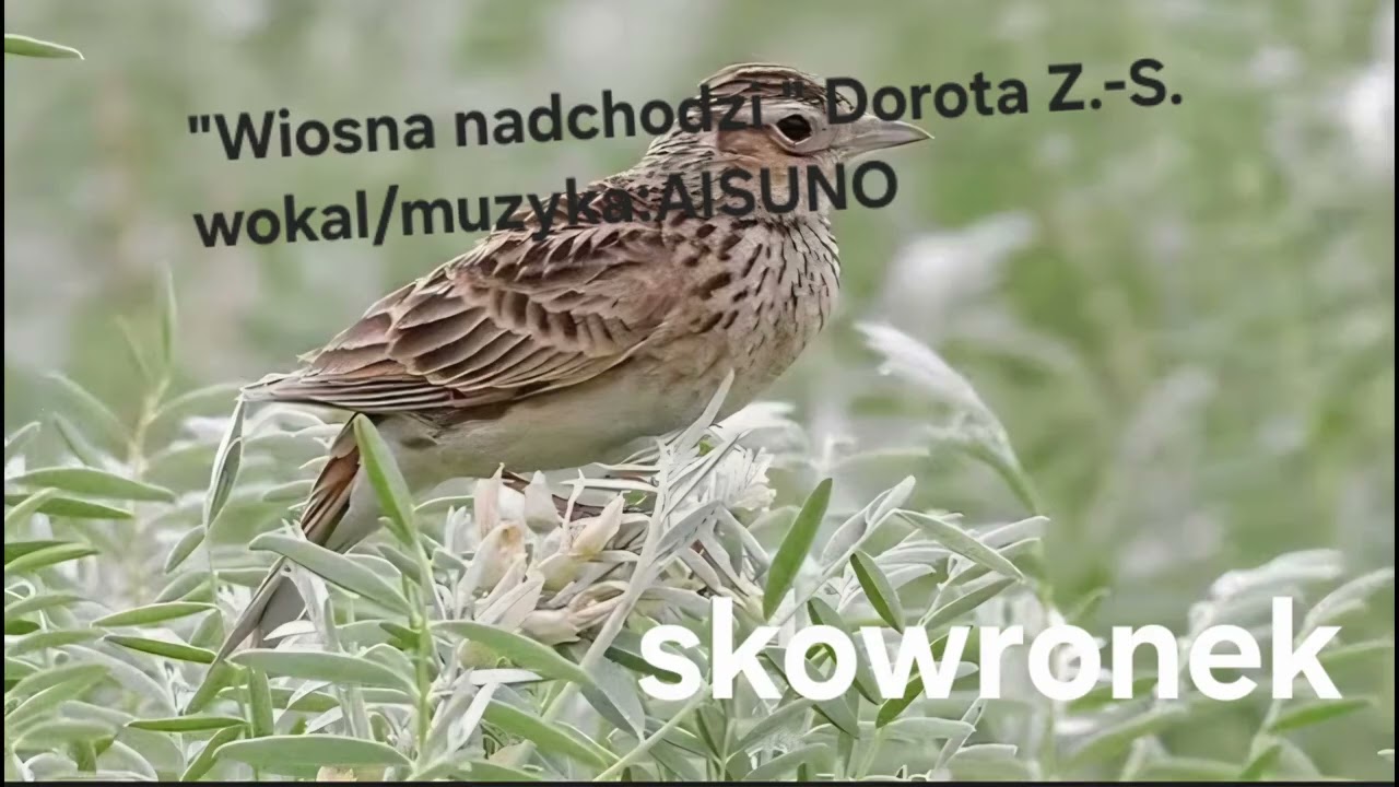 #wiosnanadchodzi#poezjąpisane#muzyka#AImusik