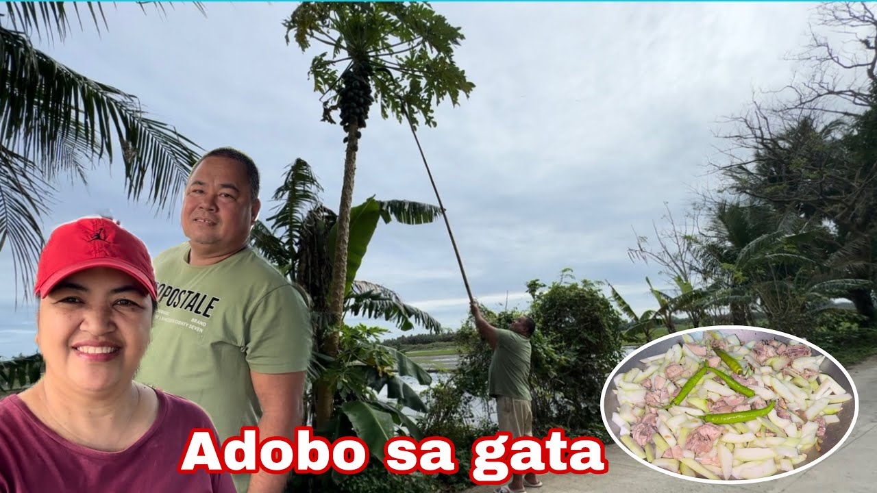 Manok adobo sa gata w/ papaya | maigi na naman ang istoryahan