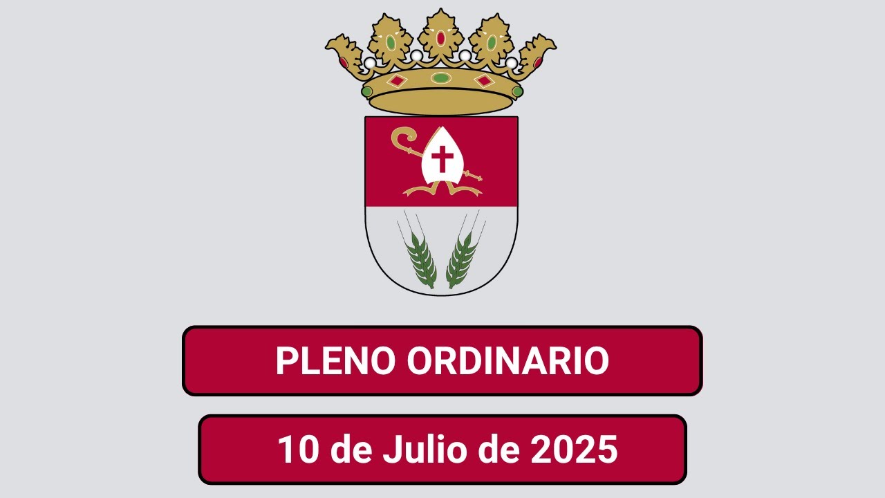 Pleno Ordinario de 10 de Julio de 2025