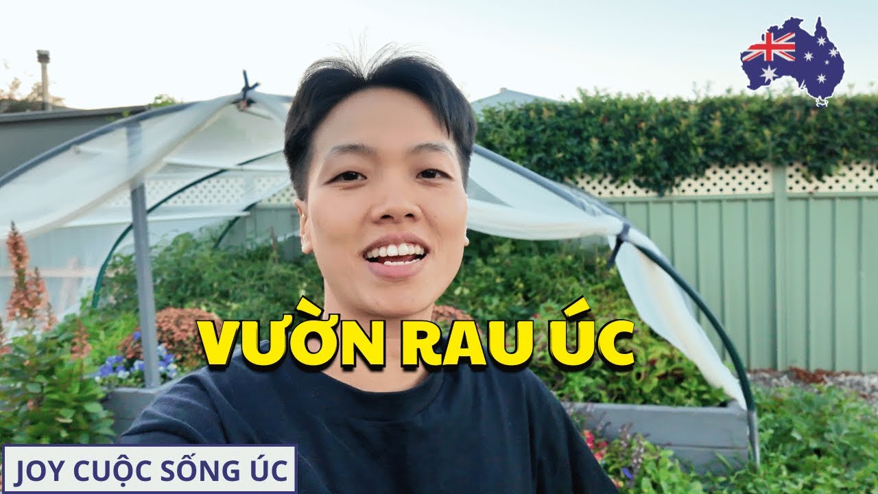 VƯỜN RAU NHÀ MÌNH CÓ GÌ???