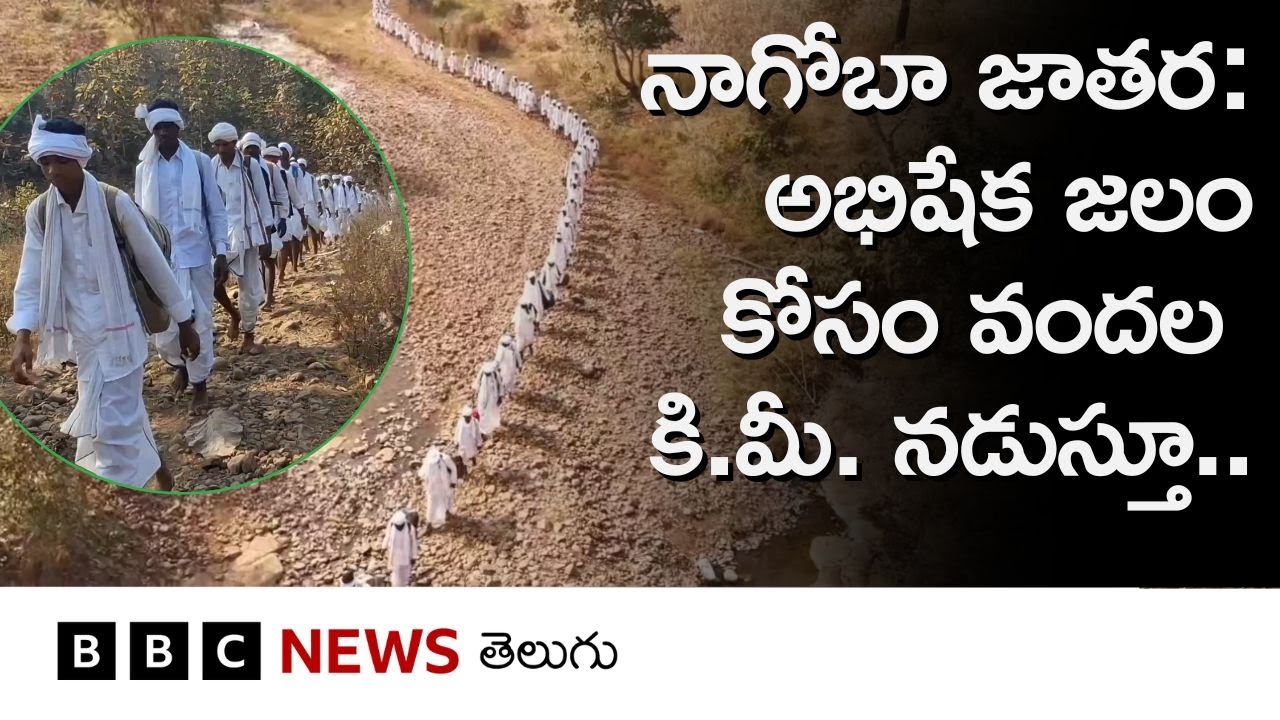 Nagoba Jatara: అభిషేక జలం కోసం కొండకోనలు, వాగు వంకలు దాటుతూ గోదావరి వరకూ గోండుల పాదయాత్ర BBC Telugu