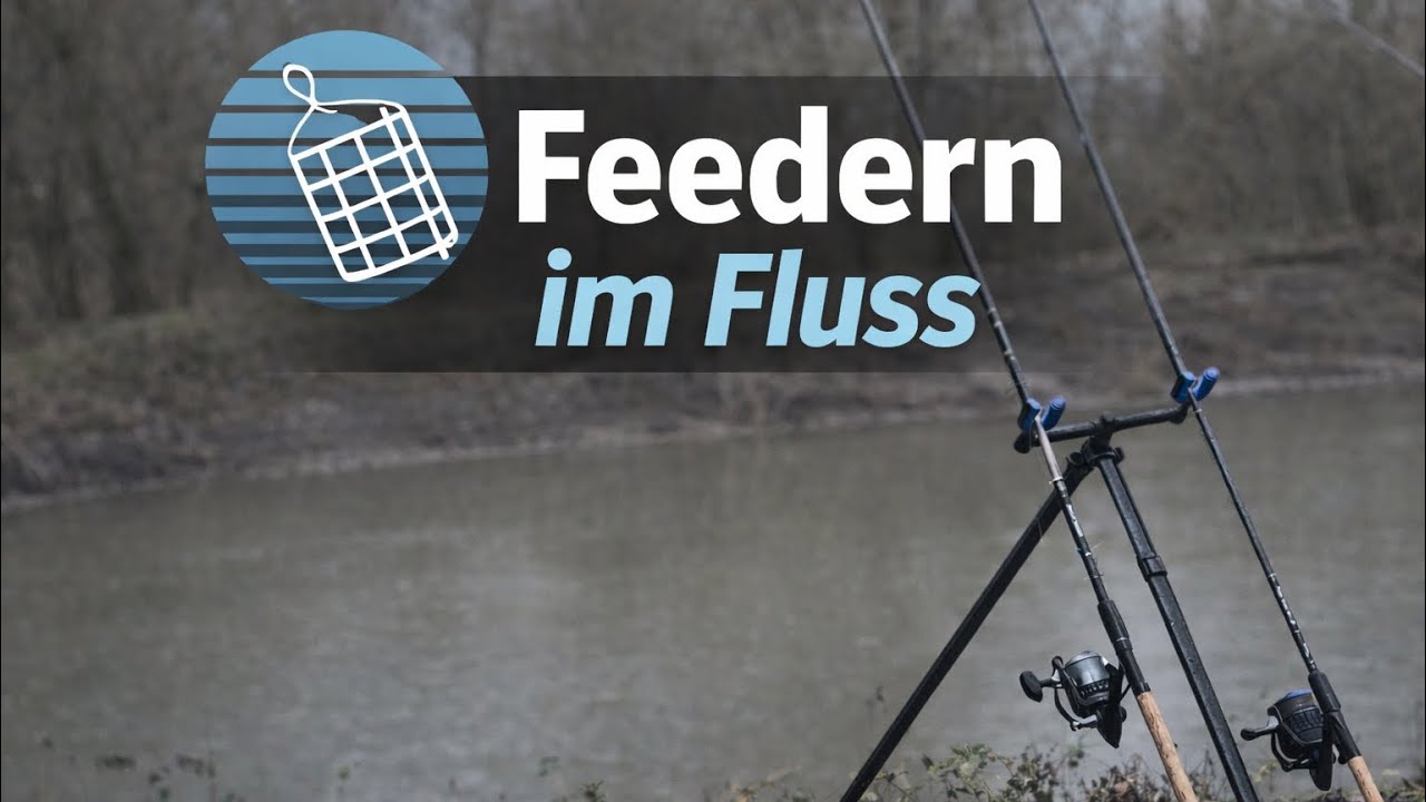 So angle ich erfolgreich im Winter am Fluss - Karpfenbiss???