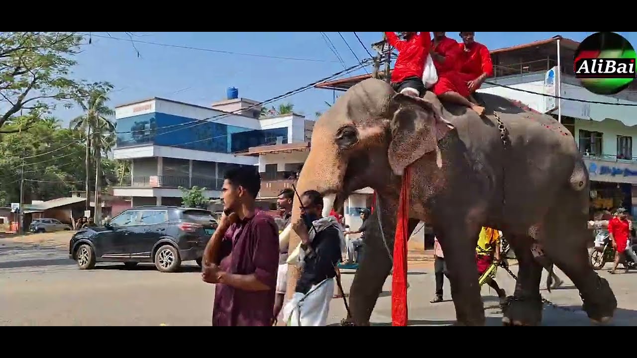 Arongotukara nercha fest 2026 അറങ്ങോട്ട്‌കര നേർച്ച ഫേസ് thorakkunnu 