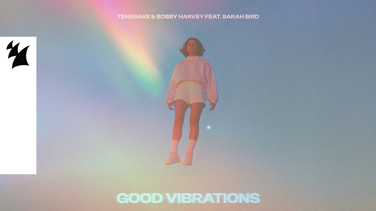 Tensnake & Bobby Harvey feat. Sarah Bird - Good Vibrations (Official Visualizer)