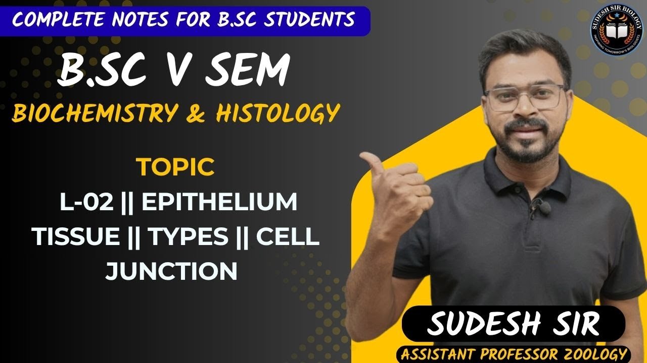 L-02 || B.Sc V Sem II Epithelium Tissue II Types Of Epithelium II Cell Junction