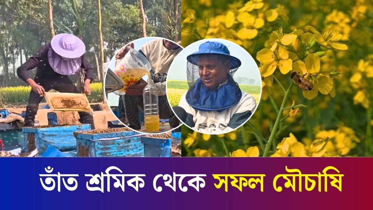 সরিষা ফুলের মৌচাষ করে এখন সাবলম্বী রায়গঞ্জের আশাদুল | Honey | Daily Karatoa