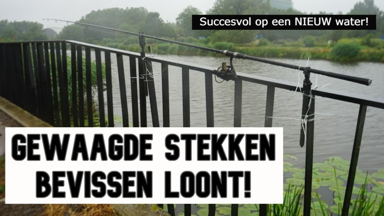 Een NIEUW WATER ontdekken ! Karpervissen met DWFishingteam op gewaagde stekken