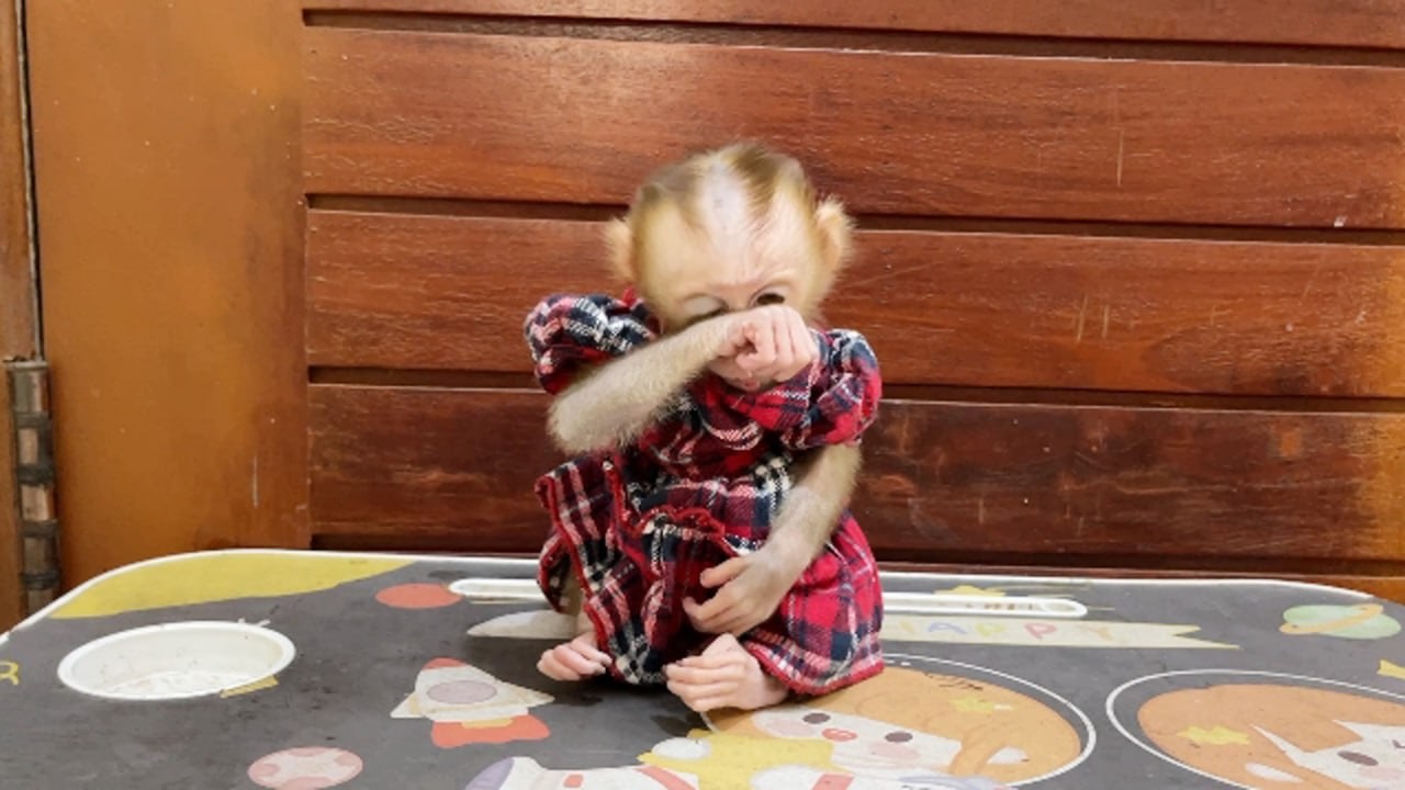 Sad Selena Sit Hide Tear Wait & Wait For Mom's Attention