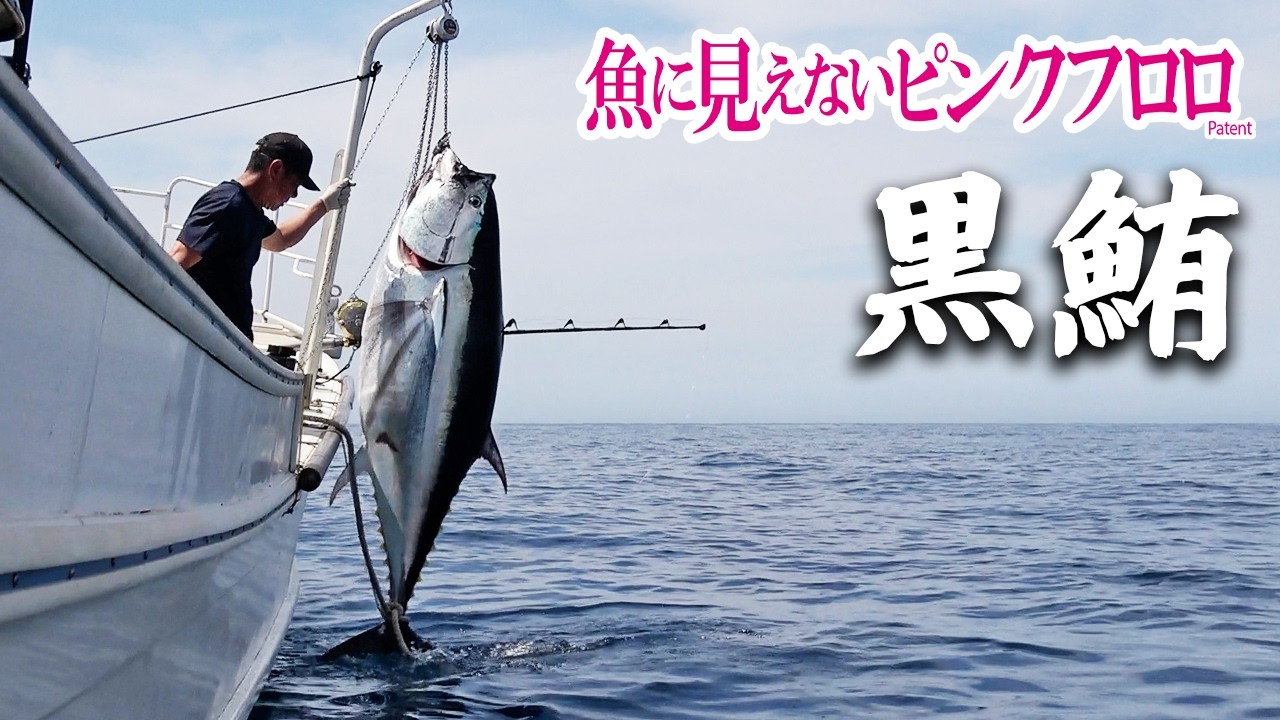 圧巻の捕食シーン!!玄界灘のクロマグロ一本釣り漁｜魚に見えないピンクフロロ(1575)