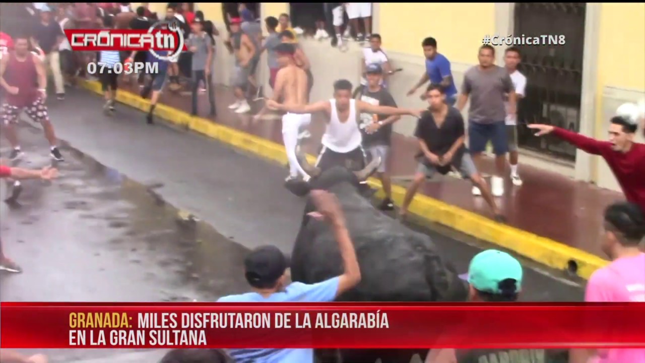 Todo un éxito el segundo tope de toros de Granada - Nicaragua