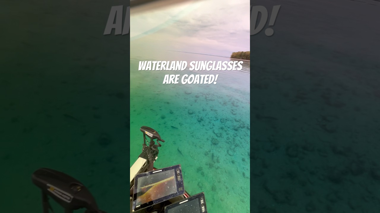 Best sunglasses in the fishing industry @WaterLandco #shorts #fishing #sunglasses