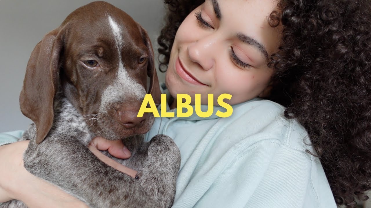 JE VOUS PRÉSENTE MON CHIOT: ALBUS  ❤️