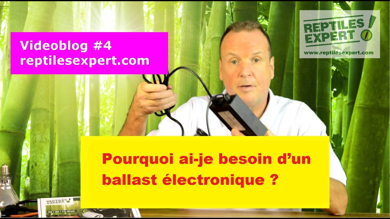 Qu'est-ce qu'un ballast &eacute;lectronique?