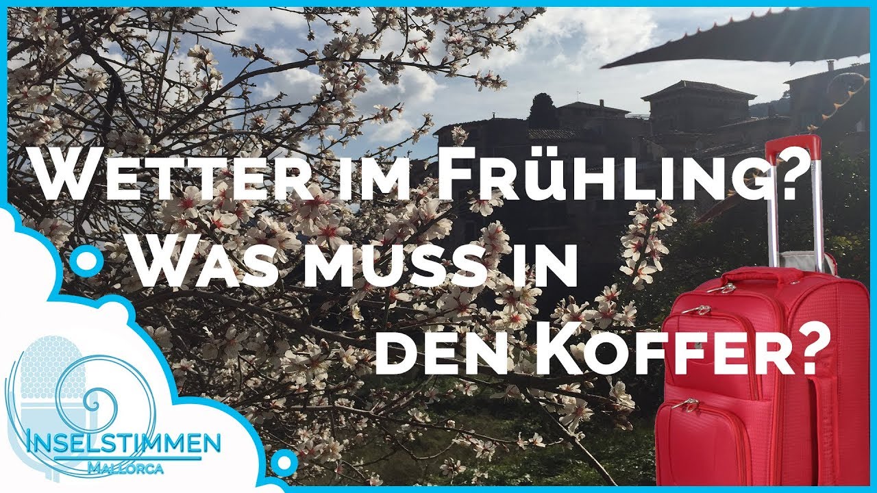 Fr&uuml;hling auf Mallorca 🌼 | Was d&uuml;rft ihr vom Wetter erwarten?