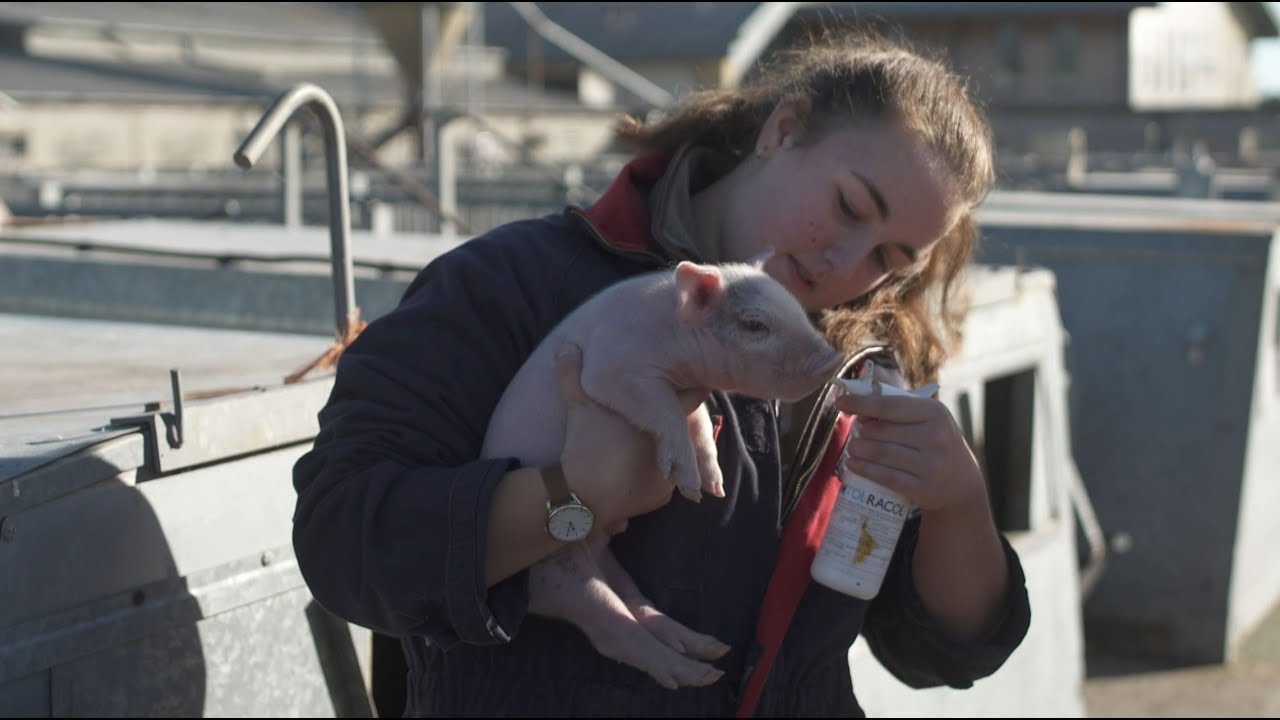Study Agriculture at Bishop Burton College